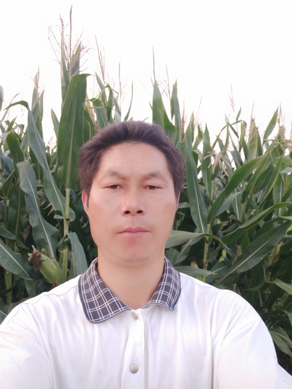 四海游龙的第一张照片--宜城残疾人相亲网